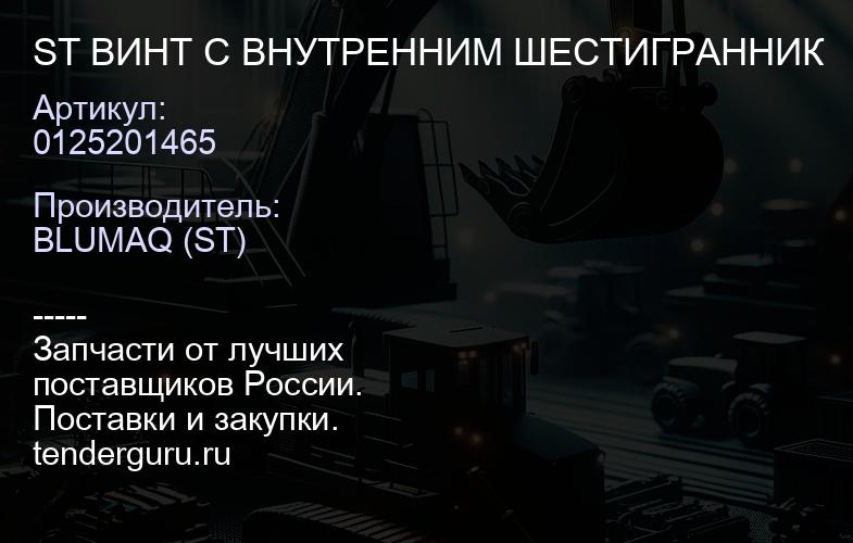 0125201465 ST ВИНТ С ВНУТРЕННИМ ШЕСТИГРАННИК | купить запчасти