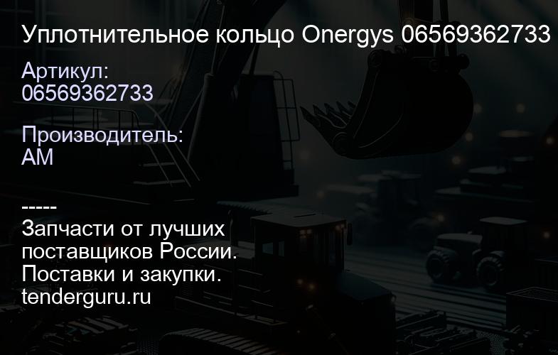 Уплотнительное кольцо Onergys 06569362733 | купить запчасти