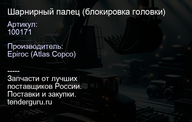 100171 Шарнирный палец (блокировка головки)  | купить запчасти