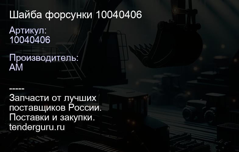 10040406 Шайба форсунки 10040406 | купить запчасти