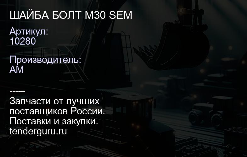 10280 ШАЙБА БОЛТ M30 SEM | купить запчасти