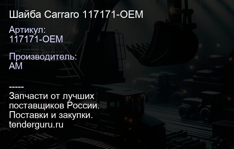 117171-OEM Шайба Carraro 117171-OEM | купить запчасти