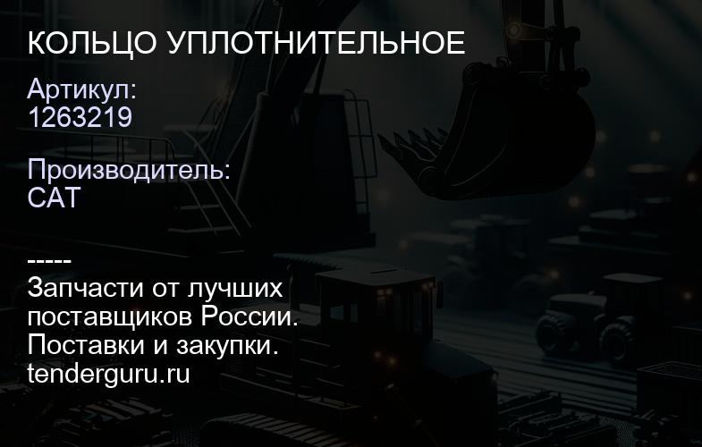 1263219 КОЛЬЦО УПЛОТНИТЕЛЬНОЕ | купить запчасти
