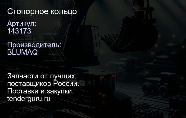 143173 Стопорное кольцо | купить запчасти