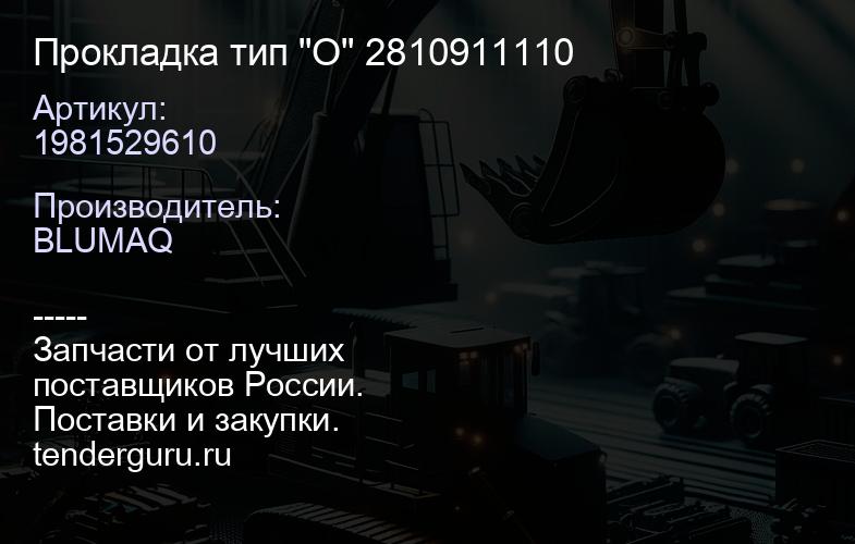 1981529610 Прокладка тип "О" 2810911110 | купить запчасти