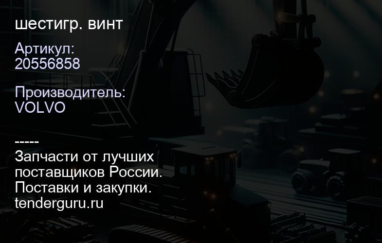 20556858 шестигр. винт | купить запчасти