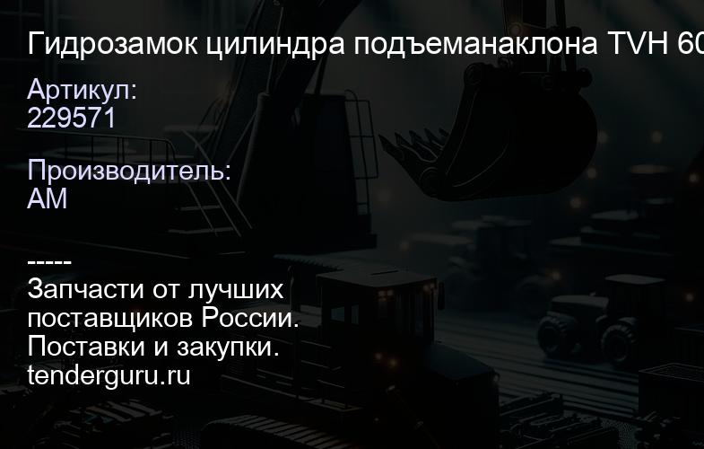 229571 Гидрозамок цилиндра подъеманаклона TVH 6090396 | купить запчасти