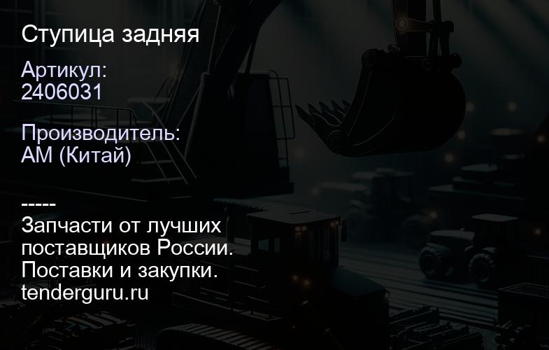 2406031 Ступица задняя | купить запчасти