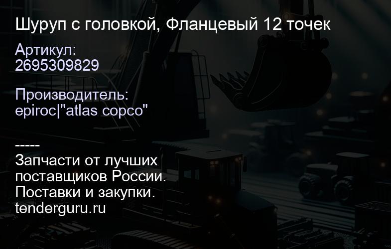 2695309829 Шуруп с головкой, Фланцевый 12 точек  | купить запчасти