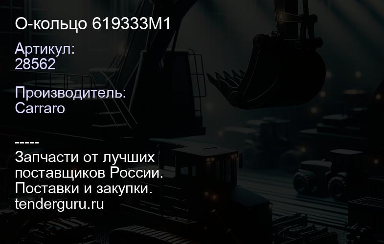 28562 О-кольцо 619333M1 | купить запчасти
