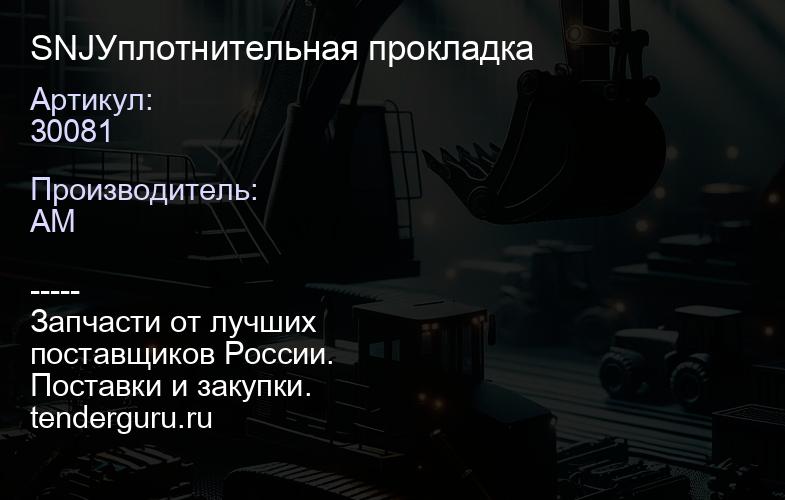 SNJ30081 Уплотнительная прокладка | купить запчасти