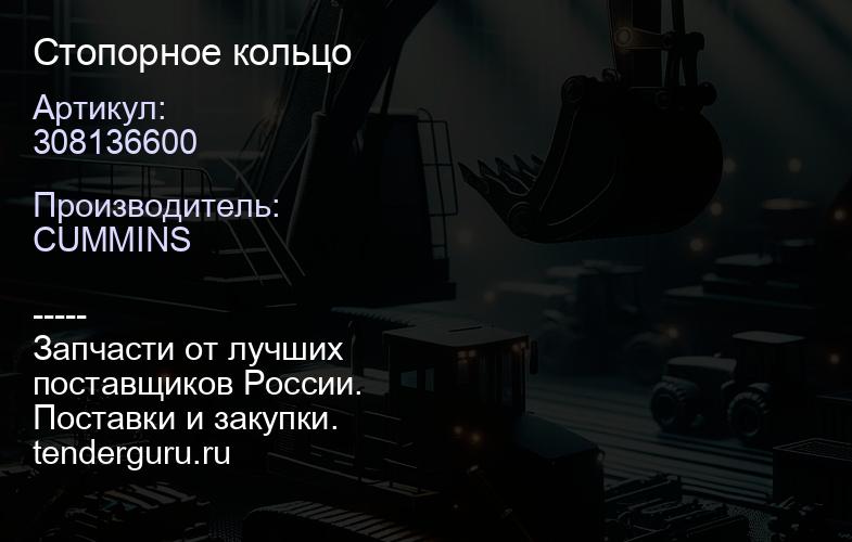 308136600 Стопорное кольцо | купить запчасти