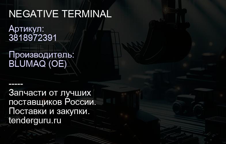 3818972391 NEGATIVE TERMINAL | купить запчасти