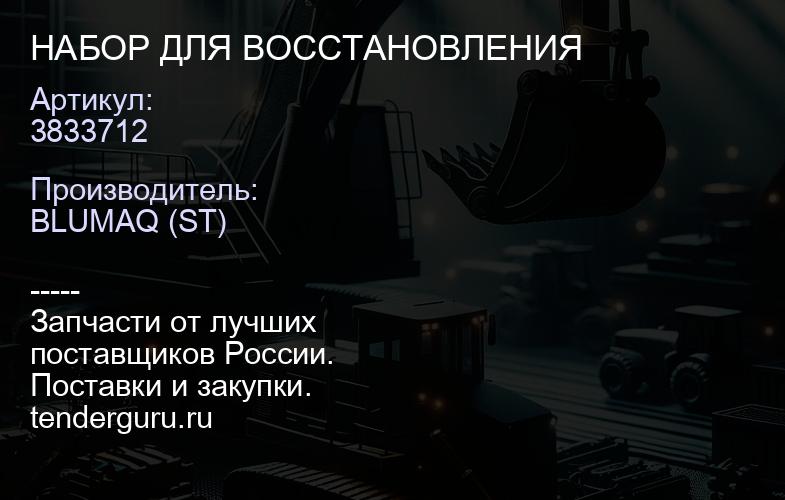3833712 НАБОР ДЛЯ ВОССТАНОВЛЕНИЯ | купить запчасти