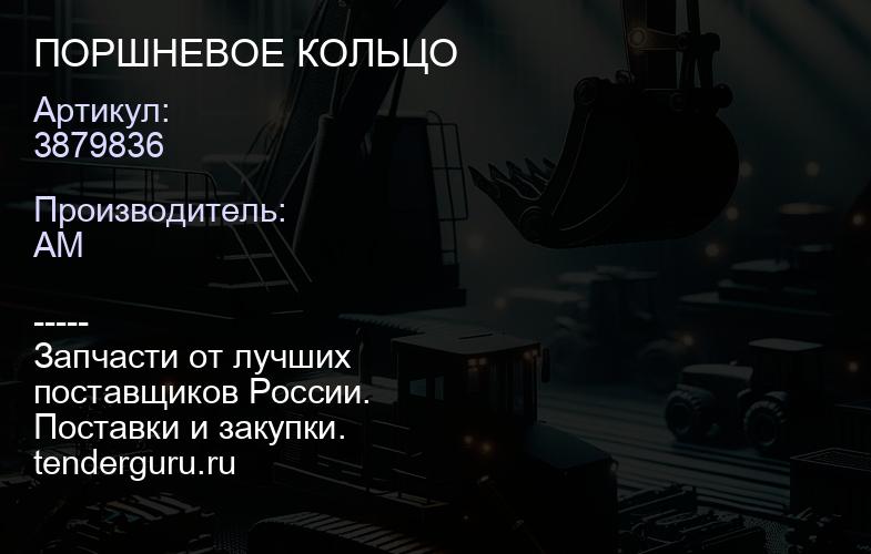 3879836 ПОРШНЕВОЕ КОЛЬЦО | купить запчасти