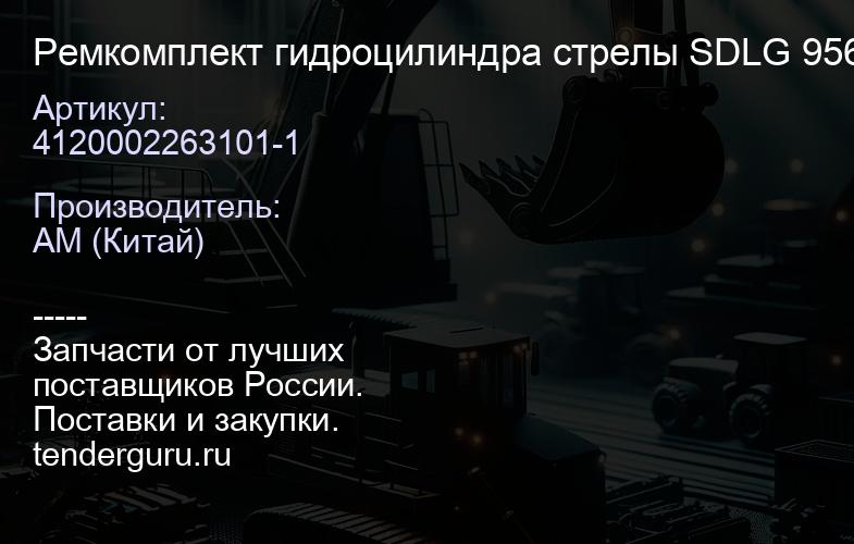 4120002263101-1 Ремкомплект гидроцилиндра стрелы SDLG 956 | купить запчасти