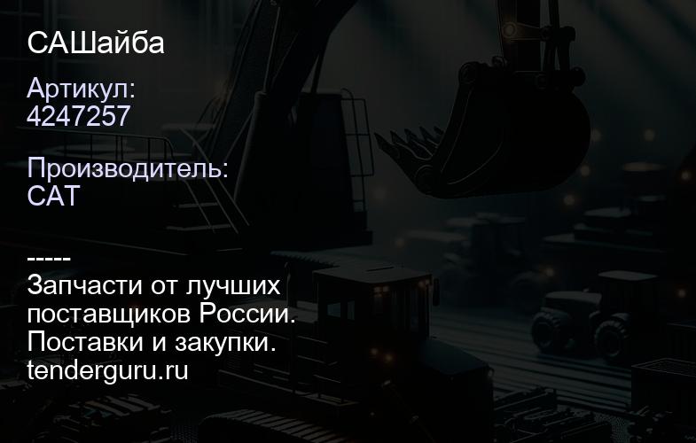 CA4247257 Шайба | купить запчасти
