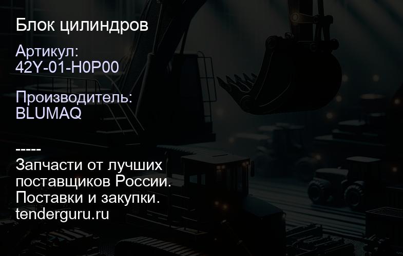 42Y-01-H0P00 Блок цилиндров | купить запчасти