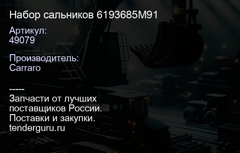 49079 Набор сальников 6193685M91 | купить запчасти