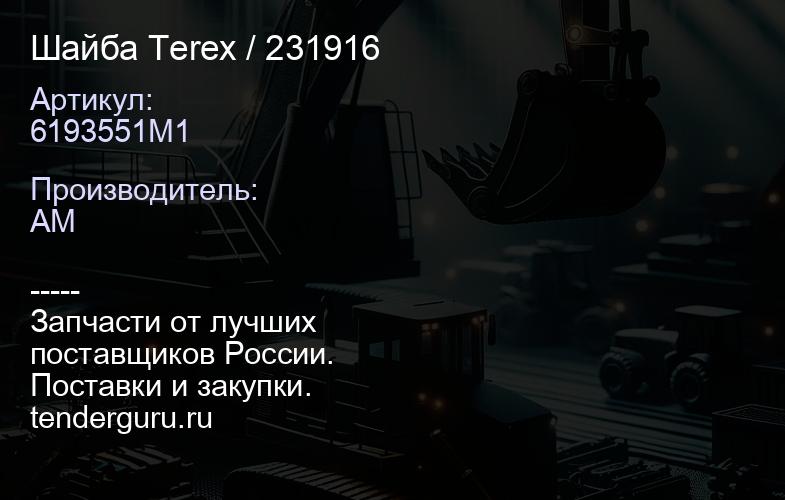 Шайба Terex 6193551M1 / 231916 | купить запчасти