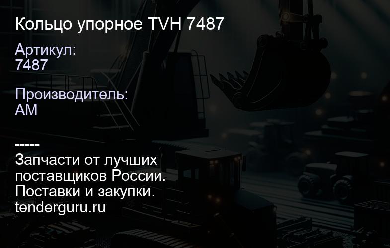 7487 Кольцо упорное TVH 7487 | купить запчасти