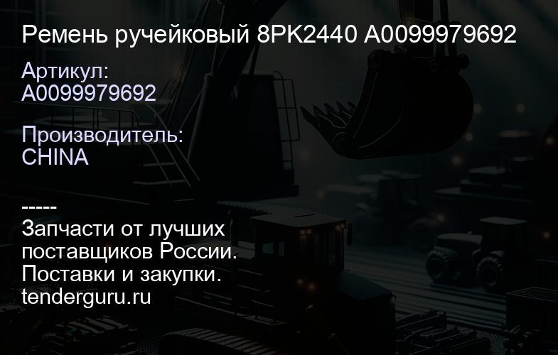 A0099979692 Ремень ручейковый 8PK2440 A0099979692 | купить запчасти