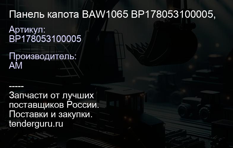 BP178053100005 Панель капота BAW1065 ВР178053100005, | купить запчасти