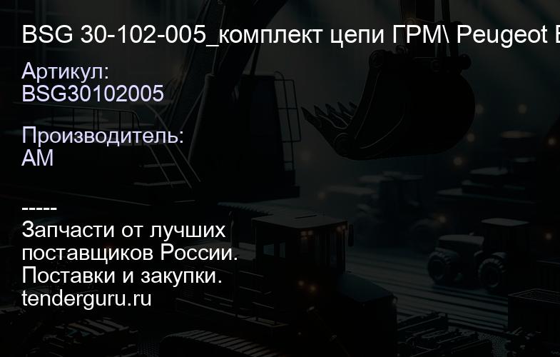 BSG30102005 BSG 30-102-005_комплект цепи ГРМ\ Peugeot Boxer 2.2HDI 06> | купить запчасти