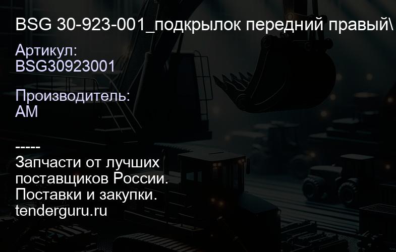 BSG30923001 BSG 30-923-001_подкрылок передний правый\ Ford Focus II 03> | купить запчасти