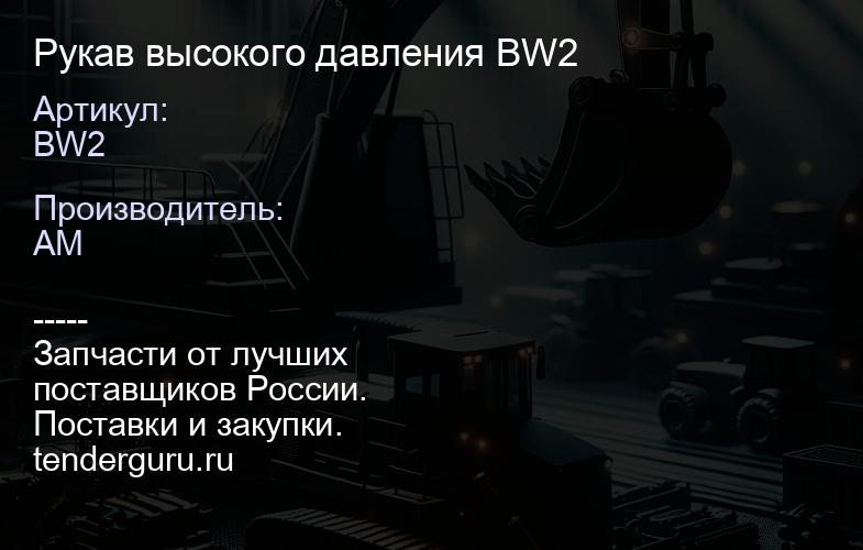 BW2 Рукав высокого давления BW2 | купить запчасти