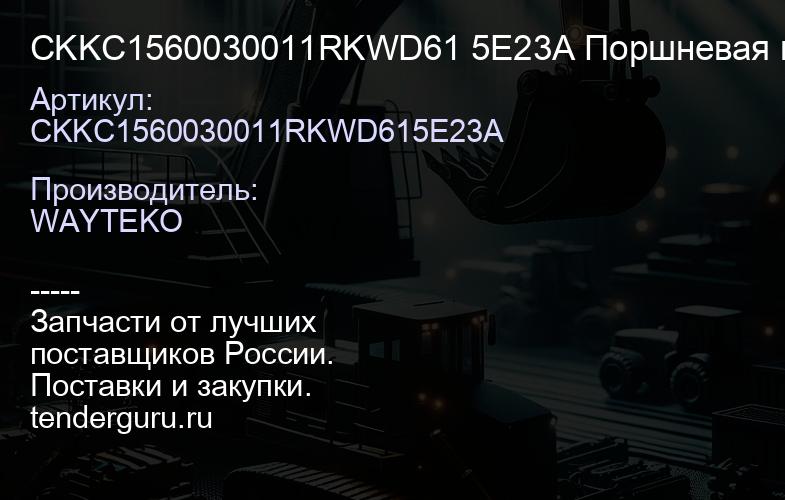 CKKC1560030011RKWD61 5E23A Поршневая группа WD615 Евро2 3A 336HP-371HP качество WAYTEKO PREMIUM | купить запчасти