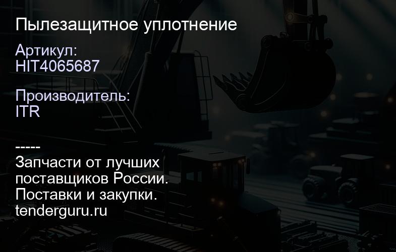 HIT4065687 Пылезащитное уплотнение | купить запчасти