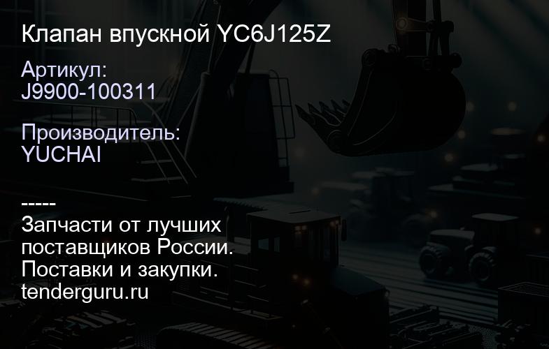 J9900-100311 Клапан впускной YC6J125Z | купить запчасти