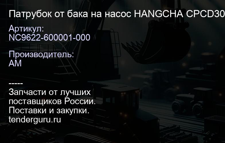 NC9622-600001-000 Патрубок от бака на насос HANGCHA CPCD30-35 2012- | купить запчасти