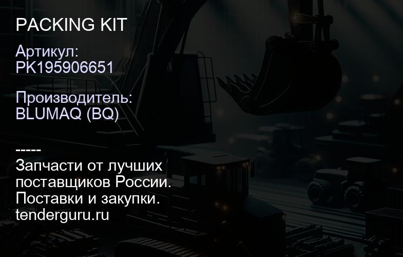 PK195906651 PACKING KIT | купить запчасти