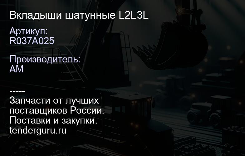 R037A025 R037A025 Вкладыши шатунные L2L3L | купить запчасти