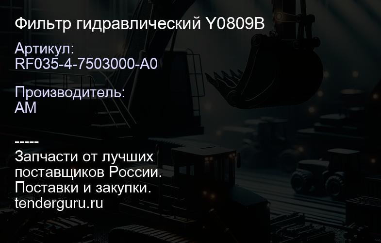 RF035-4-7503000-A0 RF035-4-7503000-A0 Фильтр гидравлический Y0809B | купить запчасти