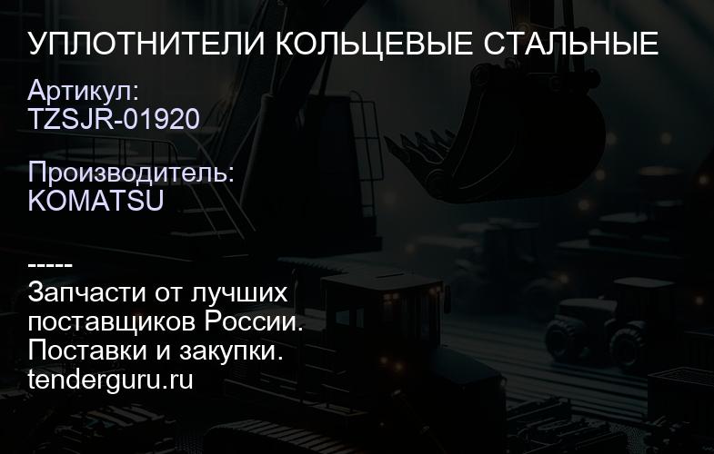 TZSJR-01920 УПЛОТНИТЕЛИ КОЛЬЦЕВЫЕ СТАЛЬНЫЕ | купить запчасти