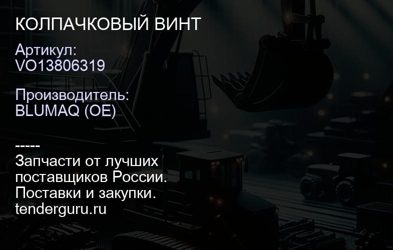 VO13806319 КОЛПАЧКОВЫЙ ВИНТ | купить запчасти