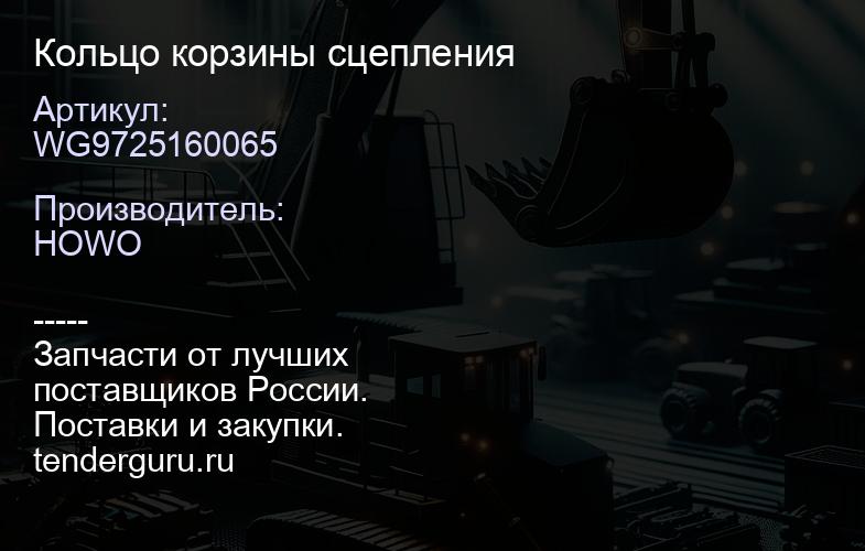 WG9725160065 Кольцо корзины сцепления | купить запчасти