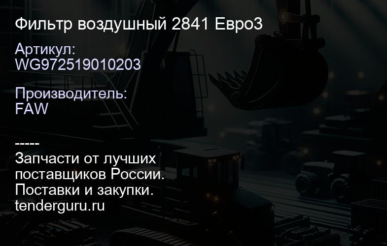 WG972519010203 Фильтр воздушный 2841 Евро3 | купить запчасти