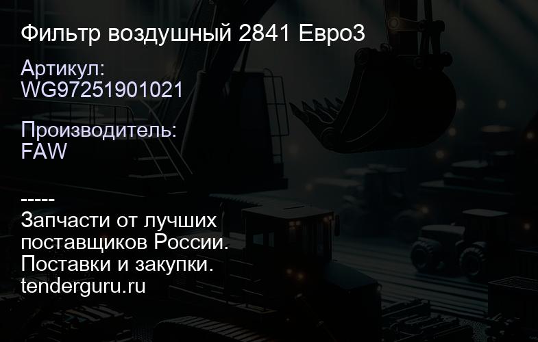 WG97251901021 Фильтр воздушный 2841 Евро3 | купить запчасти