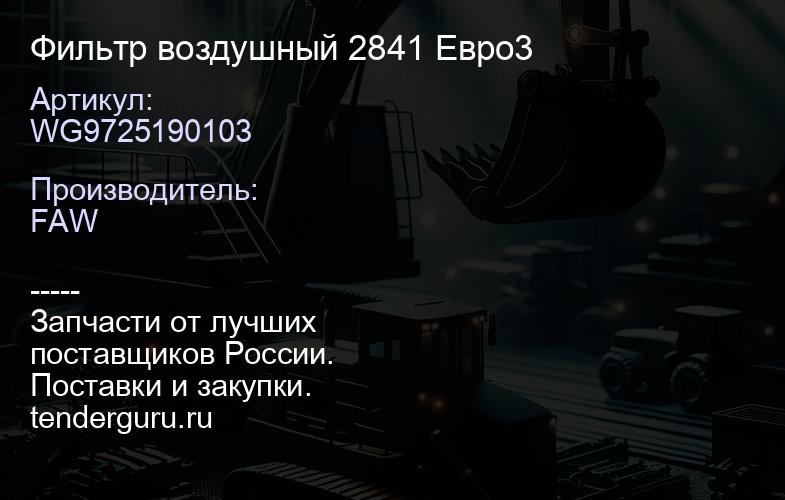 WG9725190103 Фильтр воздушный 2841 Евро3 | купить запчасти