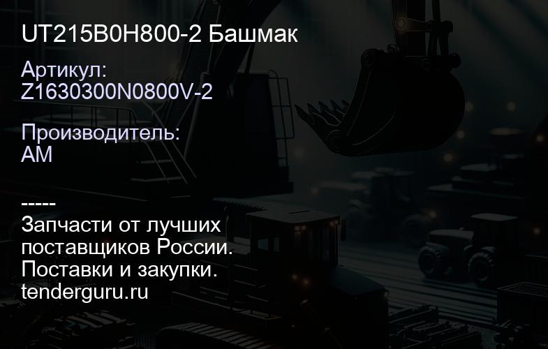 Z1630300N0800V-2 UT215B0H800-2 Башмак | купить запчасти